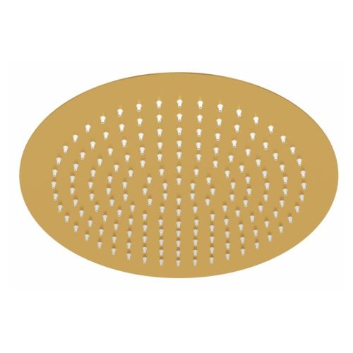 Верхний душ Wasserkraft Aisch 5500 A262 золото - фото 2