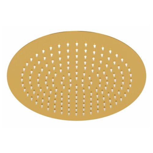 Верхний душ Wasserkraft Sauer 7100 A263 золото - фото 2