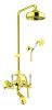 Душевая стойка Fiore 08OO0615 настенная цвет золото