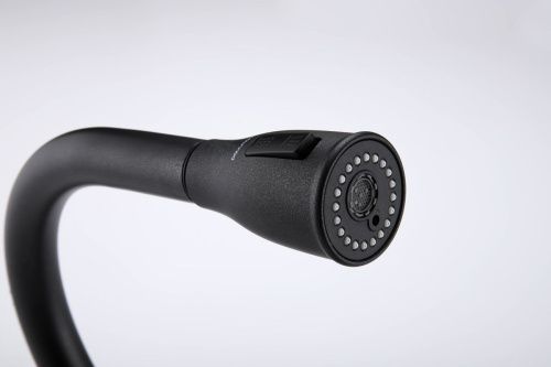 Смеситель для кухни Paulmark LANGE La214212-BLM на мойку черный - фото 2