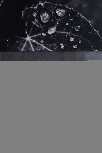 Раковина керамическая Allen Brau Fantasy 4.11022.IV 60х40 накладная цвет бежевый без отверстий под смеситель - фото 4