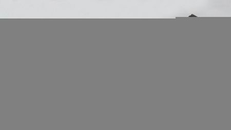 Душевая дверь Abber Zart AG08100B 100х195 стекло прозрачное профиль черный