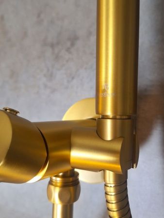 Гигиенический душ со смесителем AltroBagno Modern AltroBagnoModern060117BG золото матовое