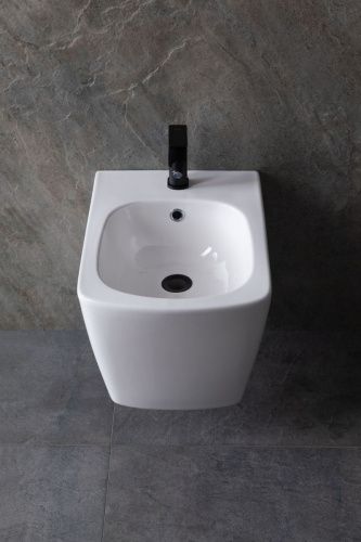 Биде подвесное Allen Brau Liberty 4.33005.20 цвет белый - фото 4