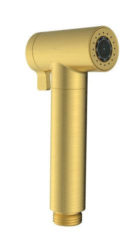 Гигиеническая лейка AltroBagno Modern AltroBagnoModern060206BG цвет золото