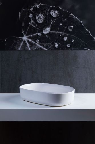 Раковина керамическая Allen Brau Fantasy 4.11022.21 60х40 накладная цвет белый без отверстий под смеситель - фото 5