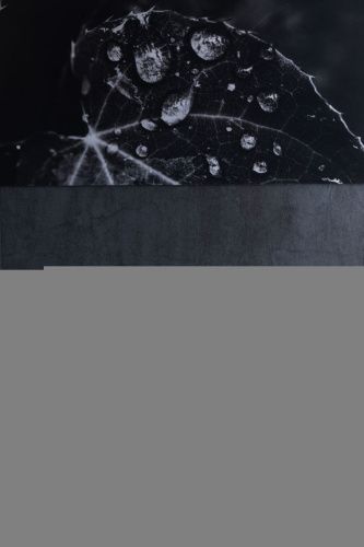 Раковина керамическая Allen Brau Fantasy 4.11022.MT 60х40 накладная цвет зеленый без отверстий под смеситель - фото 5