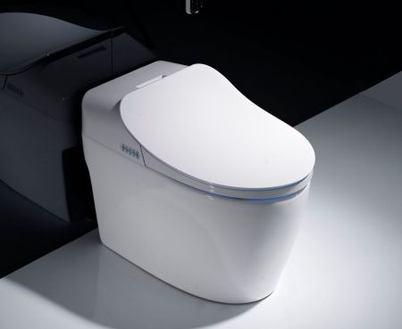 Электронный унитаз-биде напольный Timo TE-721 белый с сиденьем микролифт безободковый каскадный смыв