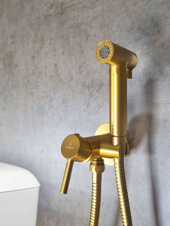 Гигиенический душ со смесителем AltroBagno Modern AltroBagnoModern060117BG золото матовое