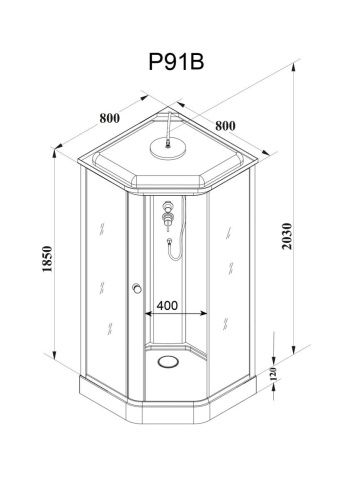 Душевая кабина Parly Penta P91B 90х90 трапеция с крышей ориентация универсальная - фото 4