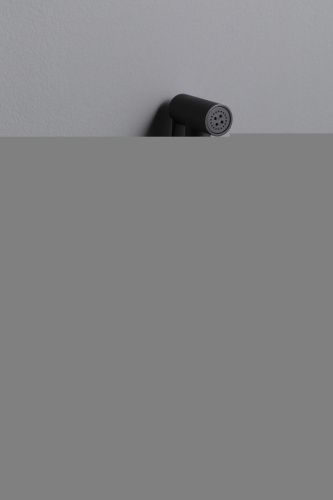 Гигиенический душ со смесителем Allen Brau Priority 5.31A29-31 черный - фото 4