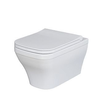 Унитаз подвесной Ambassador Benefit 203T20001R-202T20001S белый с сиденьем микролифт