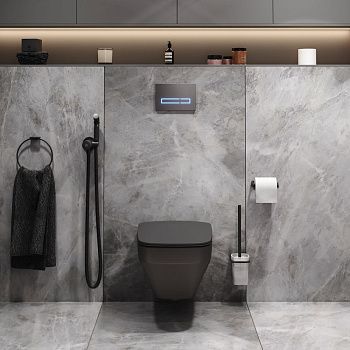 Комплект унитаз с инсталляцией с клавишей смыва с гигиеническим душем и аксессуарами для ванной комнаты Am.Pm Inspire V2.0 CK50GG