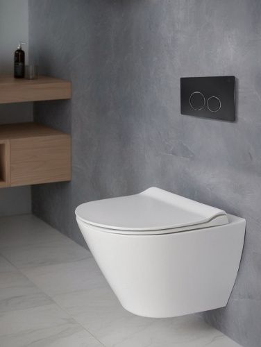 Клавиша смыва механическая AltroBagno Beni aggiuntivi AltroBagnoPFP005DQ цвет черный - фото 4