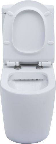 Чаша унитаза напольная Aquanet Cetus CETUS-C1 цвет белый без бачка с сиденьем микролифт безободковая каскадный смыв - фото 5