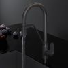 Смеситель для кухни Am.Pm Like F8007822 на мойку черный