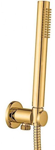 Душевой гарнитур Paffoni Master ZDUP094HG настенный золото