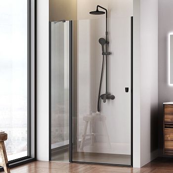 Душевая дверь Am.Pm Sunny W87G-120-1P-BT 120х190 стекло прозрачное профиль черный