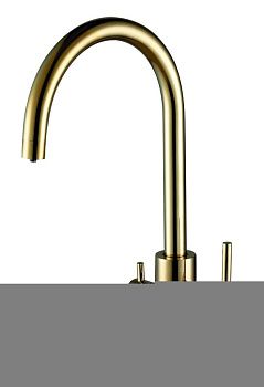 Смеситель для кухни Paulmark ESSEN Es213211-G на мойку золото
