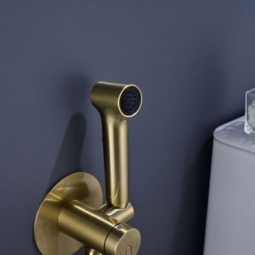 Гигиенический душ со смесителем Rose R235G золото - фото 5