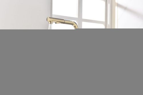 Смеситель для кухни Paulmark NEO Ne214419-G на мойку золото - фото 4