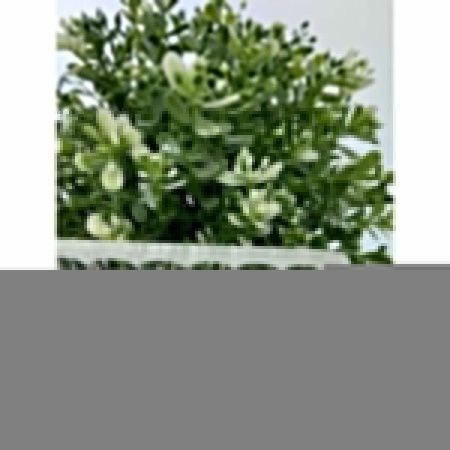 Душевая перегородка RGW Walk In 06100808-154 80х195 стекло рифленое профиль черный