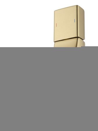 Смеситель Wonzon & Woghand The one WW-H010-BG на раковину золото