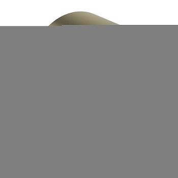 Шланговое подсоединение Aquatek AQ2457BG