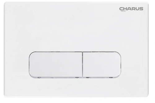 Сет унитаз + инсталляция + кнопка CC.300.80.01+FP.320.11.01+CR25200 - фото 3