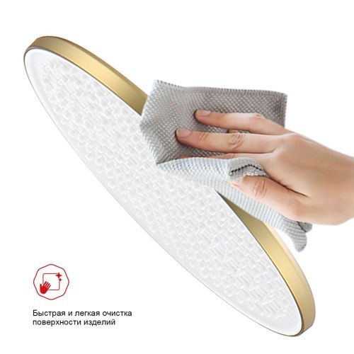 Верхний душ Raglo R451 R451.50.03 золото - фото 4