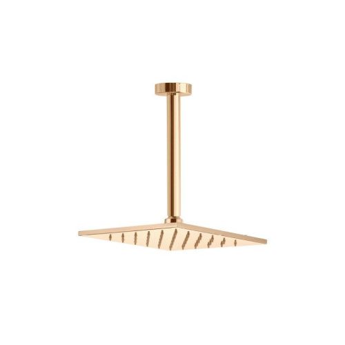 Верхний душ Webert AC0943794 золото - фото 2