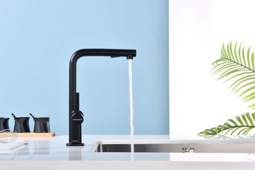 Смеситель для кухни Paulmark NEO Ne214419-AN на мойку черный - фото 3