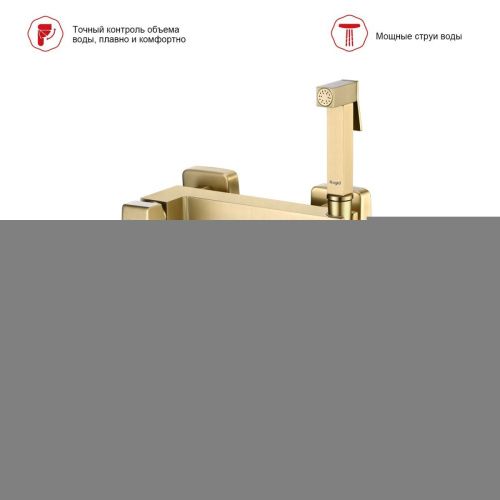 Гигиенический душ со смесителем Raglo R01 R01.51.03 золото - фото 3