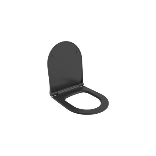 Крышка сиденье Ambassador Abner 102T20201S