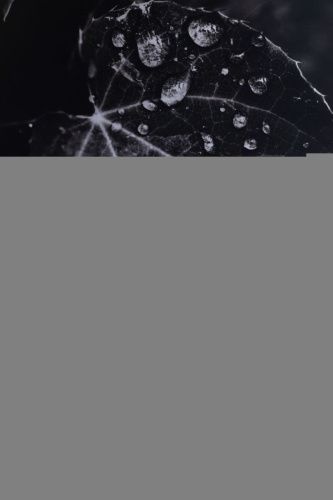 Раковина керамическая Allen Brau Fantasy 4.11021.31 50х40 накладная цвет черный без отверстий под смеситель - фото 4