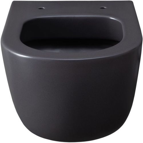 Чаша унитаза подвесная Allen Brau Priority 4.31002.AN цвет черный без сиденья безободковая каскадный смыв - фото 3