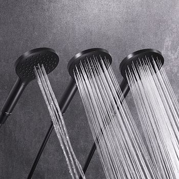 Душевая лейка Am.Pm Like F0280022 цвет черный