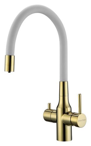Смеситель для кухни Paulmark SALIX Sa213419-Gw на мойку золото