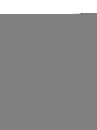 Смеситель Wonzon & Woghand WW-101-BS на раковину никель