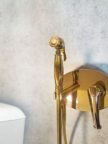 Гигиенический душ со смесителем AltroBagno Beatrice AltroBagnoBeatrice060113Or золото - фото 4