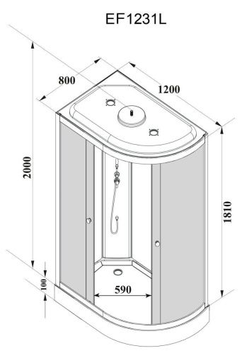 Душевая кабина Parly Effect EF1231L 120х80 асимметричная с крышей ориентация правая - фото 4