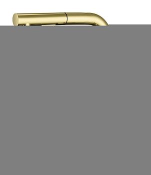 Смеситель для кухни Paulmark NEO Ne214419-G на мойку золото