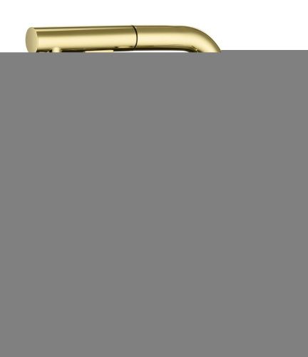 Смеситель для кухни Paulmark NEO Ne214419-G на мойку золото