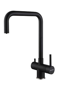 Смеситель для кухни Paulmark WETTER We213030-AN на мойку черный