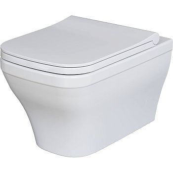 Крышка сиденье Ambassador Benefit 202T20001S