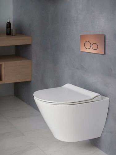 Клавиша смыва механическая AltroBagno Beni aggiuntivi AltroBagnoPFP005FQ цвет розовое золото - фото 2