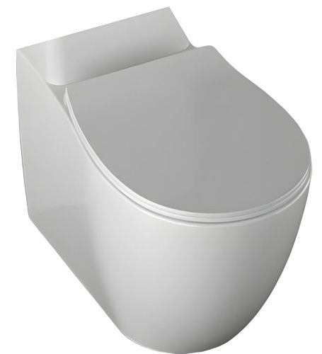 Чаша унитаза напольная Allen Brau Fantasy 4.11009.20 цвет белый без бачка с сиденьем микролифт безободковая каскадный смыв - фото 4