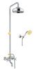 Душевая стойка Fiore 01CO0615 настенная цвет хром/золото
