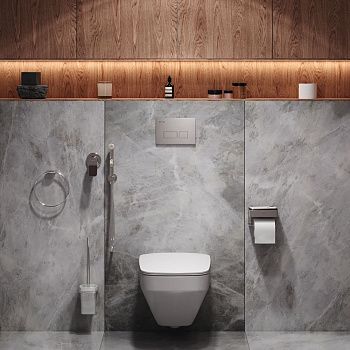 Комплект унитаз с инсталляцией с клавишей смыва с гигиеническим душем и аксессуарами для ванной комнаты Am.Pm Inspire V2.0 CK50GD