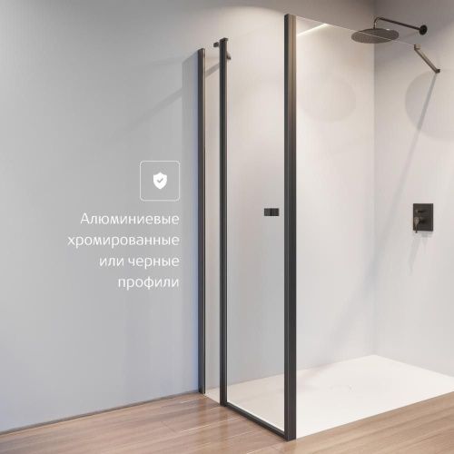 Душевая дверь Roca CAPITAL 7.M461.0.016.M 100х195 стекло прозрачное профиль черный - фото 2